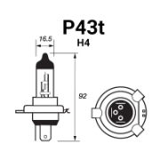 H4 (P43t)