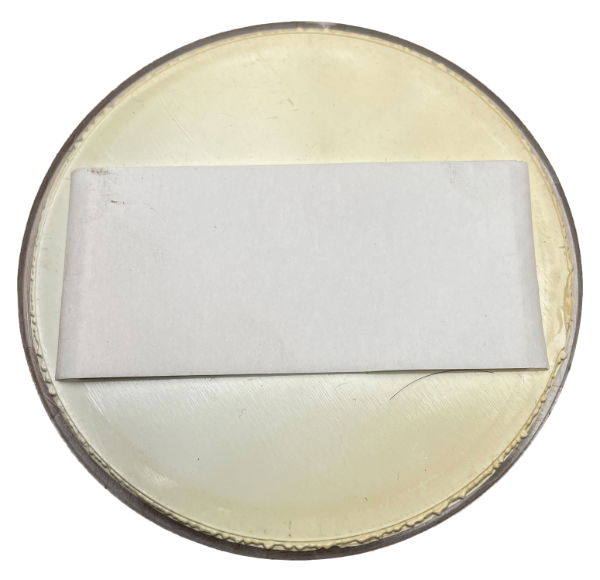 Rubbolite Front Reflector | Self-Adhesive [770]