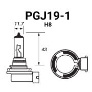 H8 (PGJ19-1)