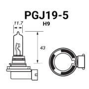 H9 (PGJ19-5)