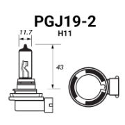 H11 (PGJ19-2)