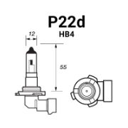 HB4 (P22d)